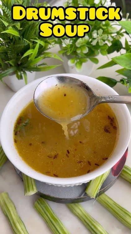 Drumstick Soup recipe