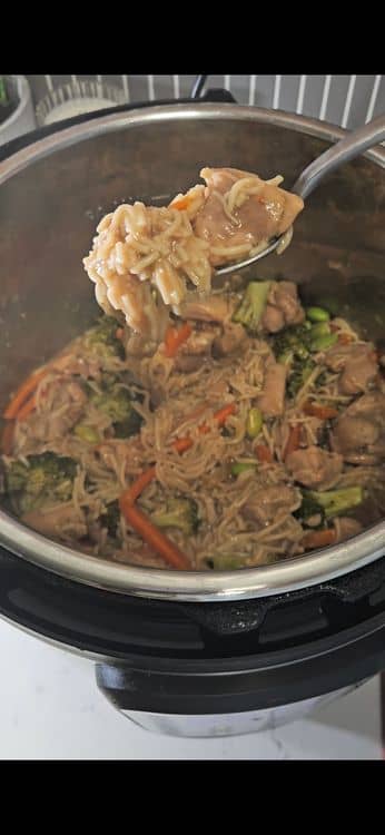 Slow Cooker Chicken Ramen Noodles recipe