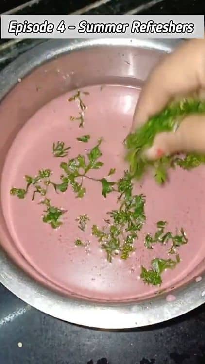 Refreshing Solkadhi 🍷 recipe