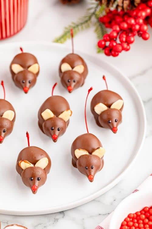 Chocolate Cherry Mice recipe