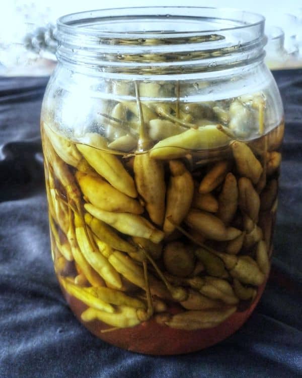 White Chilli Pickle recipe