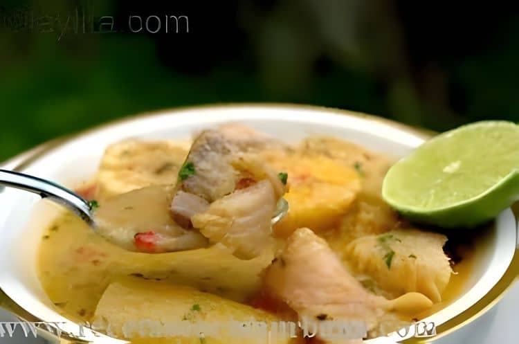 Fish Biche recipe