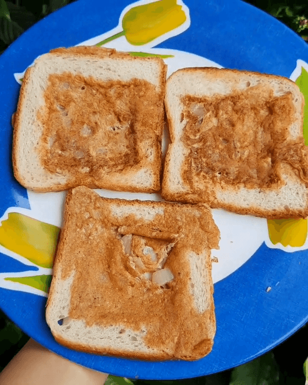 Protein-Packed Breakfast recipe