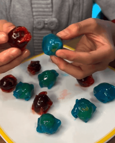 Fruit Roll up grapes recipe