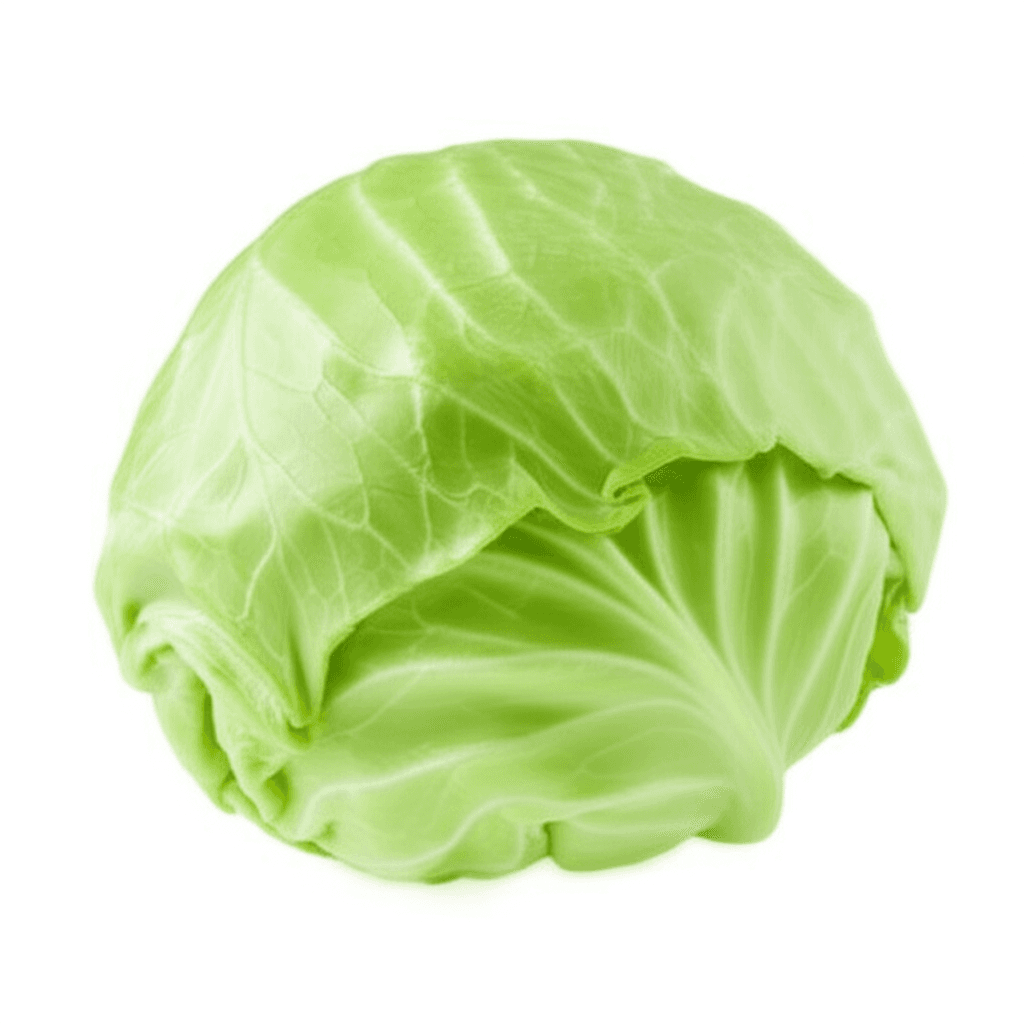 cabbage