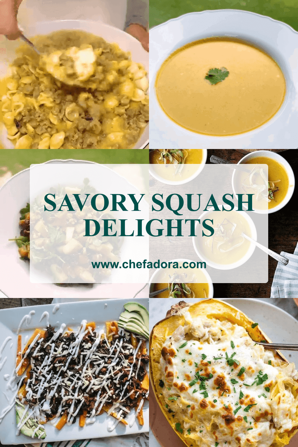 Savory Squash Delights recipe collection