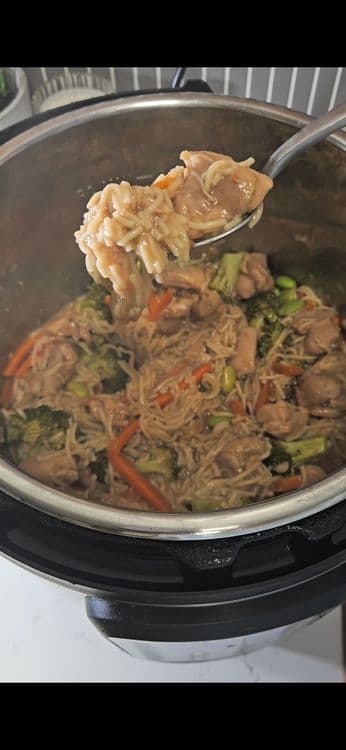 Slow Cooker Chicken Ramen Noodles recipe