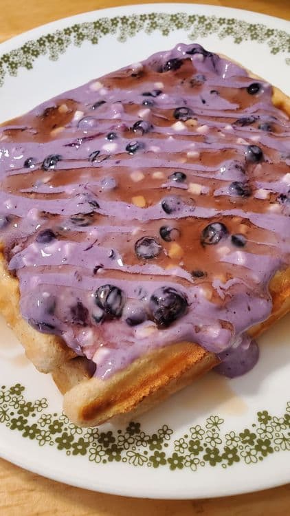 Wild Blueberry Protein Syrup recipe
