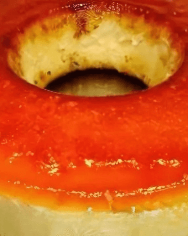 Luiz Felipe Pudding recipe