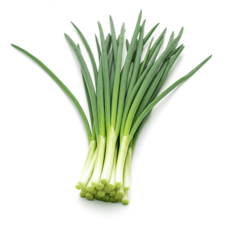 chive