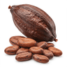 raw cacao