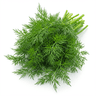 fresh dill