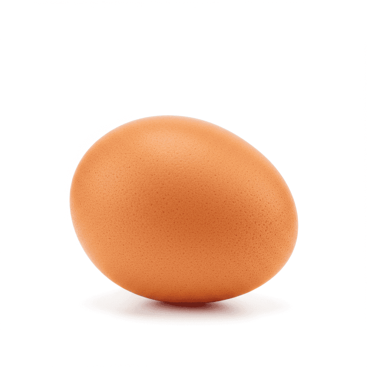 egg