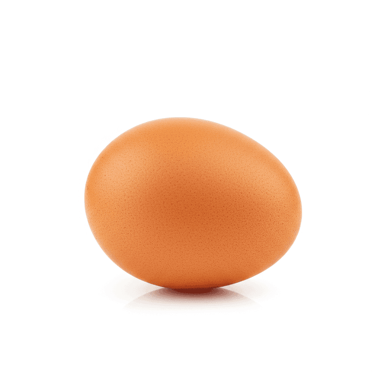 egg