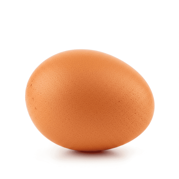 egg