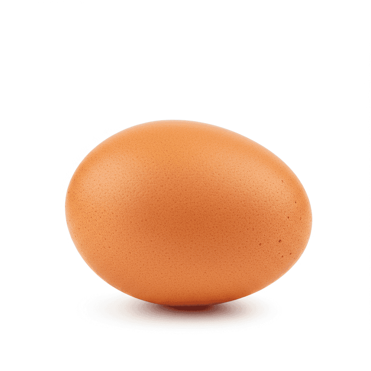 egg