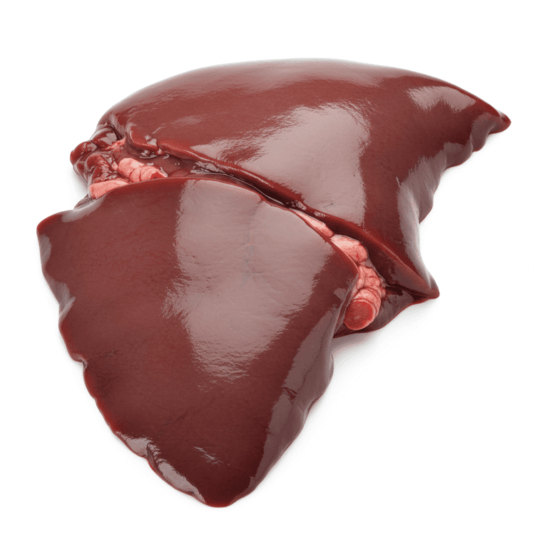 liver
