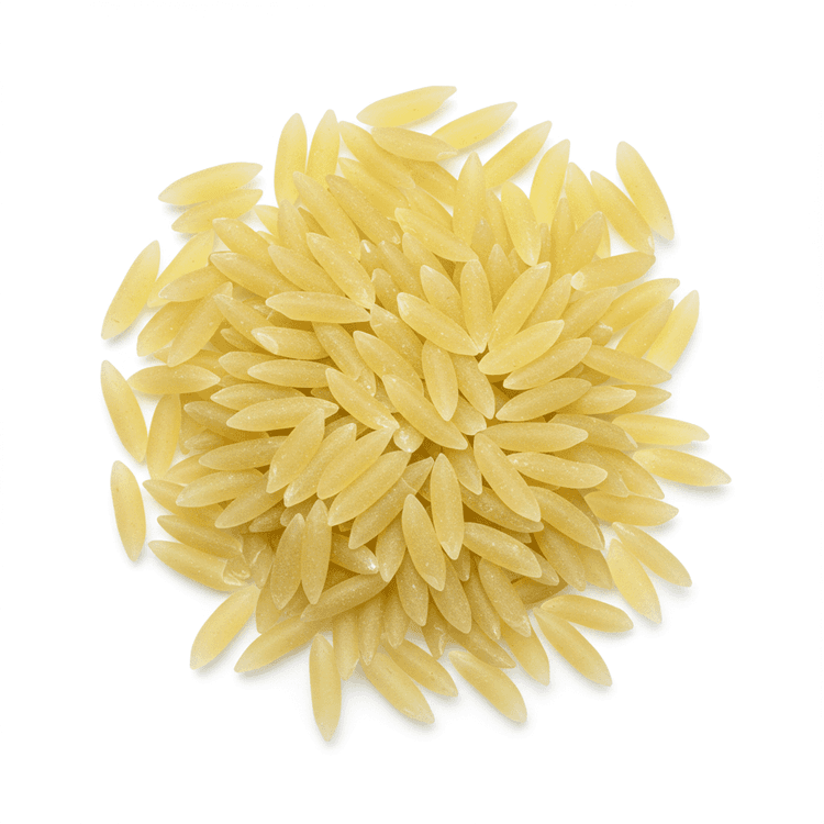 orzo
