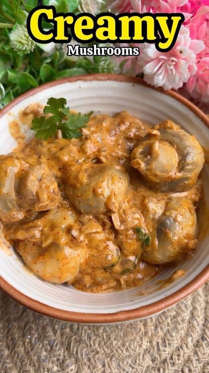 Creamy Mushroom recipe