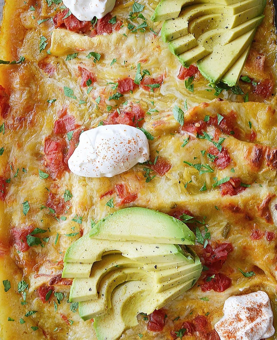 Easy Shredded Chicken Enchiladas recipe