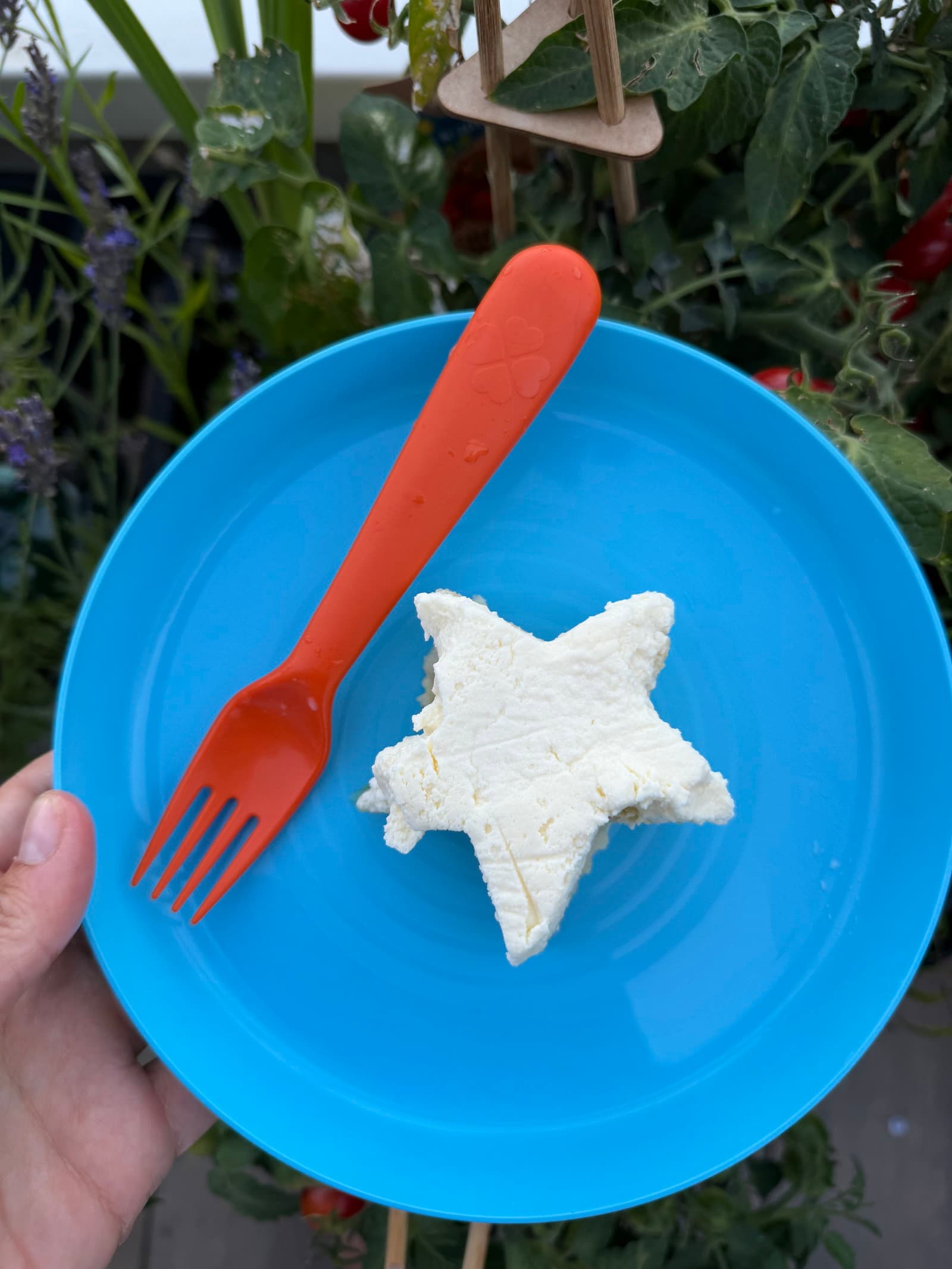  Melt-In-Your-Mouth Tres Leches Cake recipe