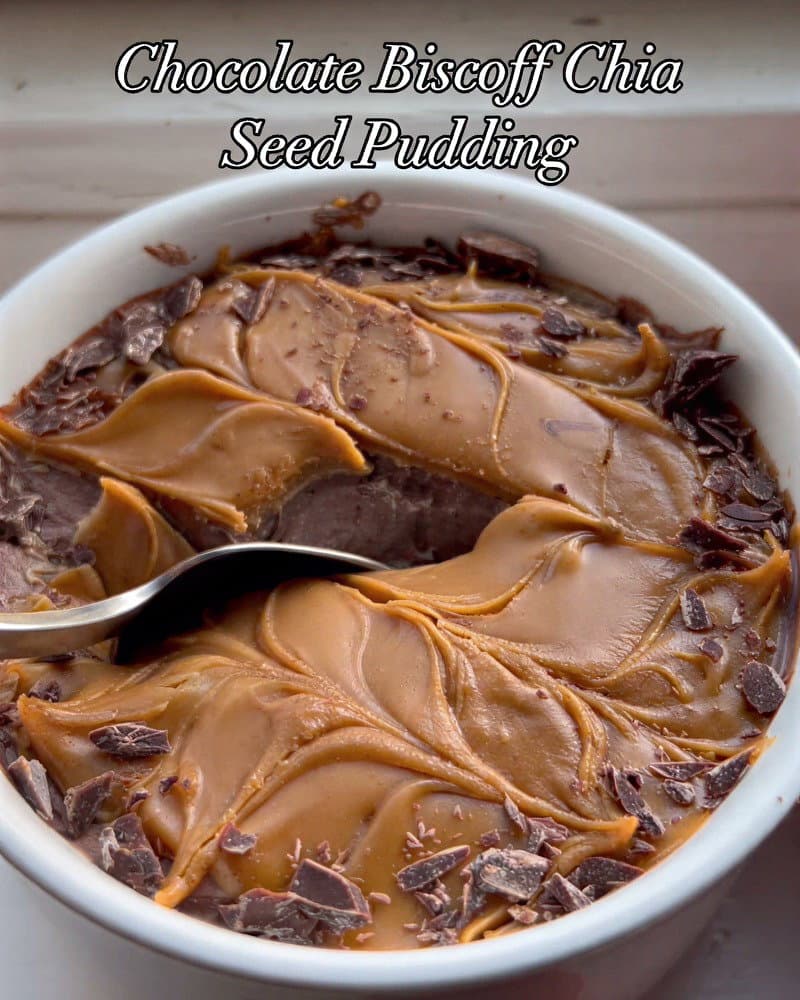 Chocolate Chia Seed Greek Yogurt Pudding with Biscoff Topping recipe