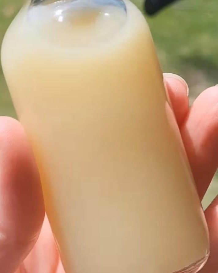 Ginger Shots recipe