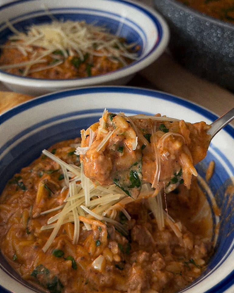 Creamy Beef Orzo recipe