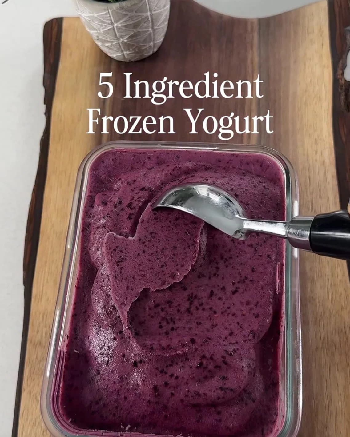 5 Ingredient Frozen Blueberry Yogurt recipe