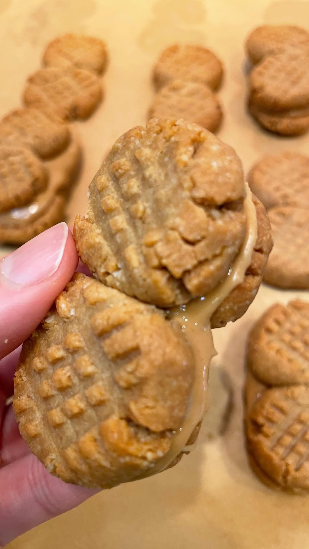 5 Ingredient GF/DF Nutter Butters recipe
