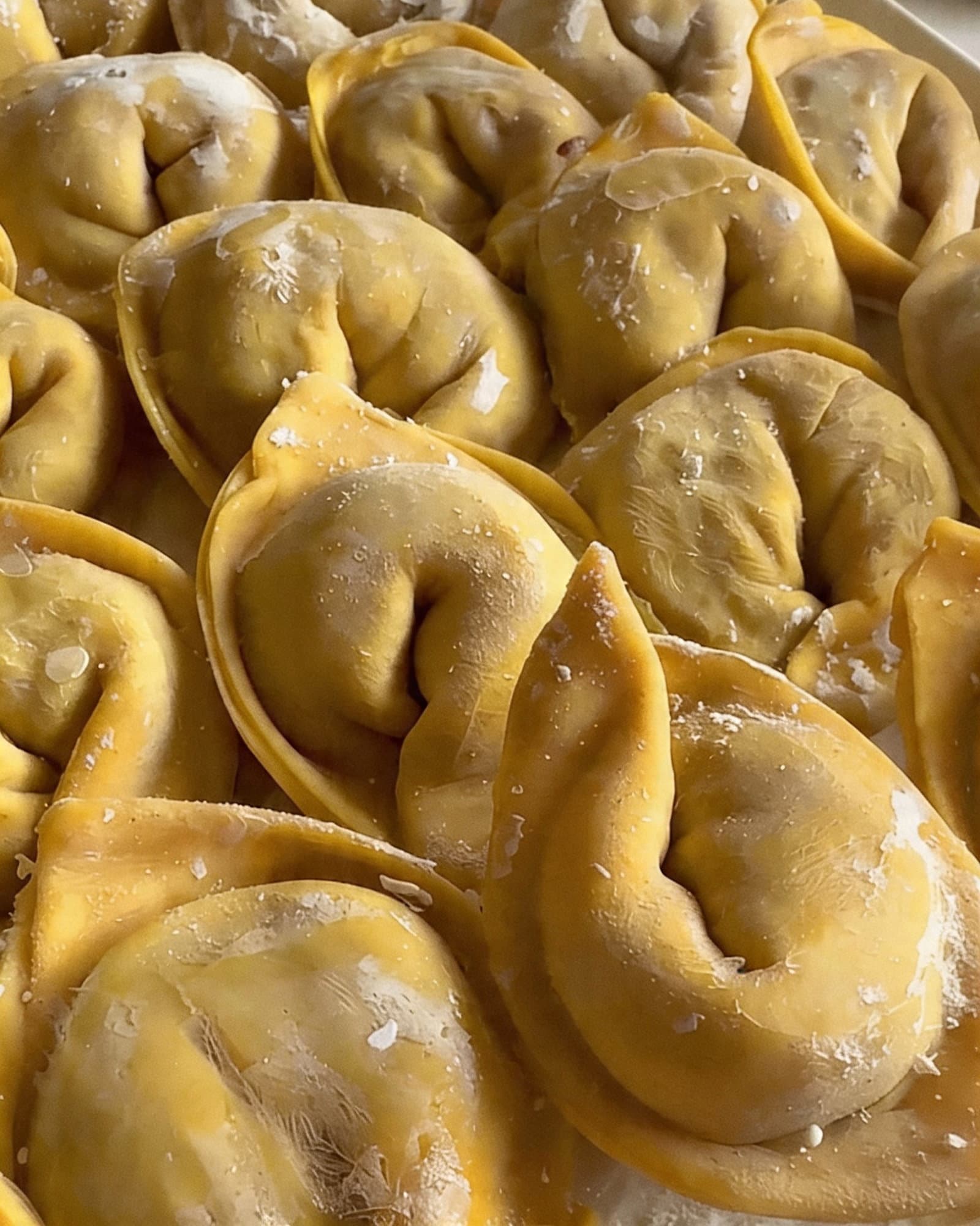 Juicy Chicken Wonton Recipe recipe