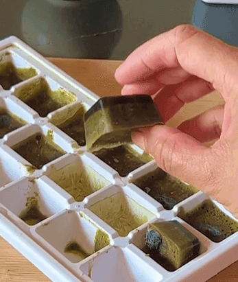 Mint Mojito recipe