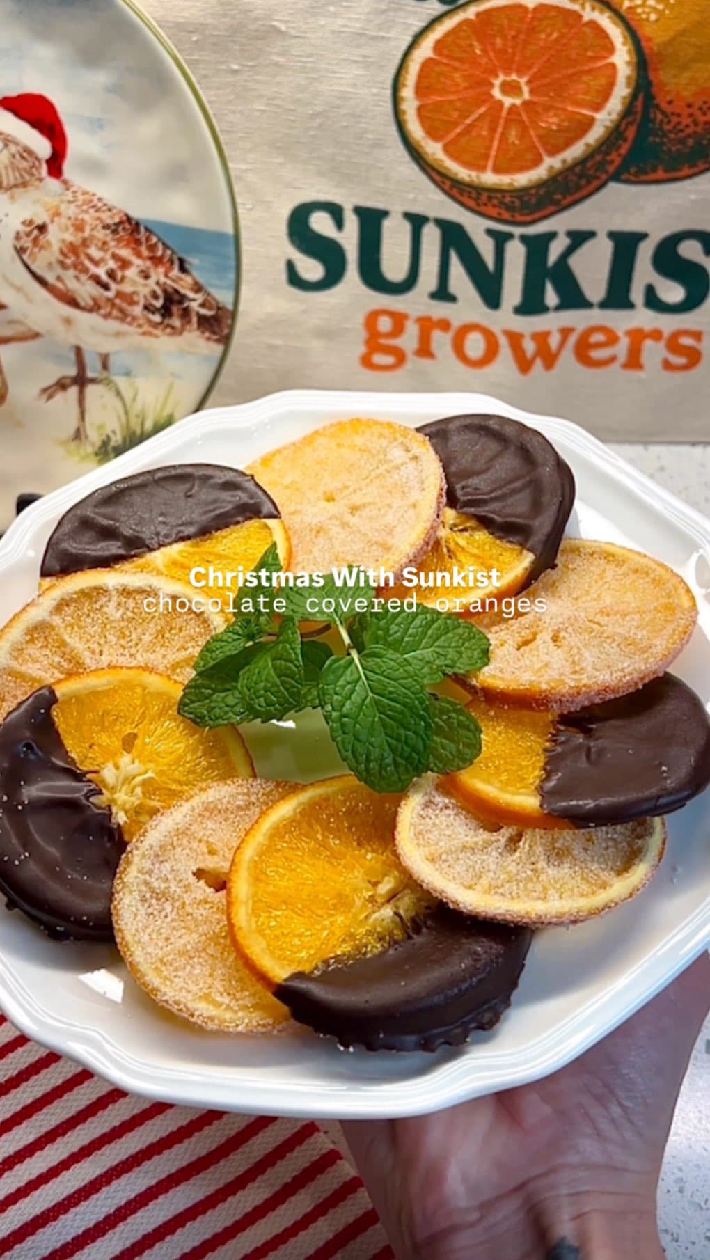 Chocolate-Dipped Candied Orange Slices recipe