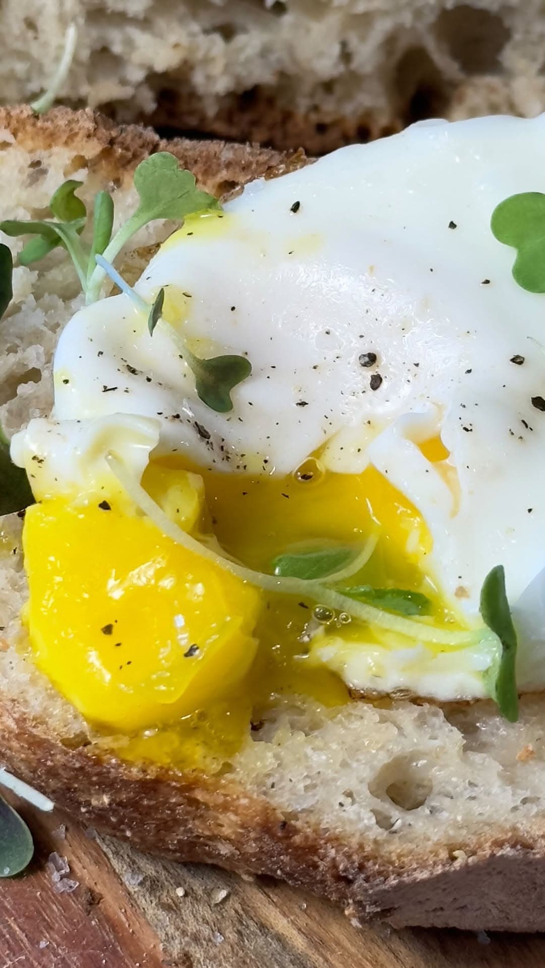 Easy & Delicious Morning Bites recipe collection