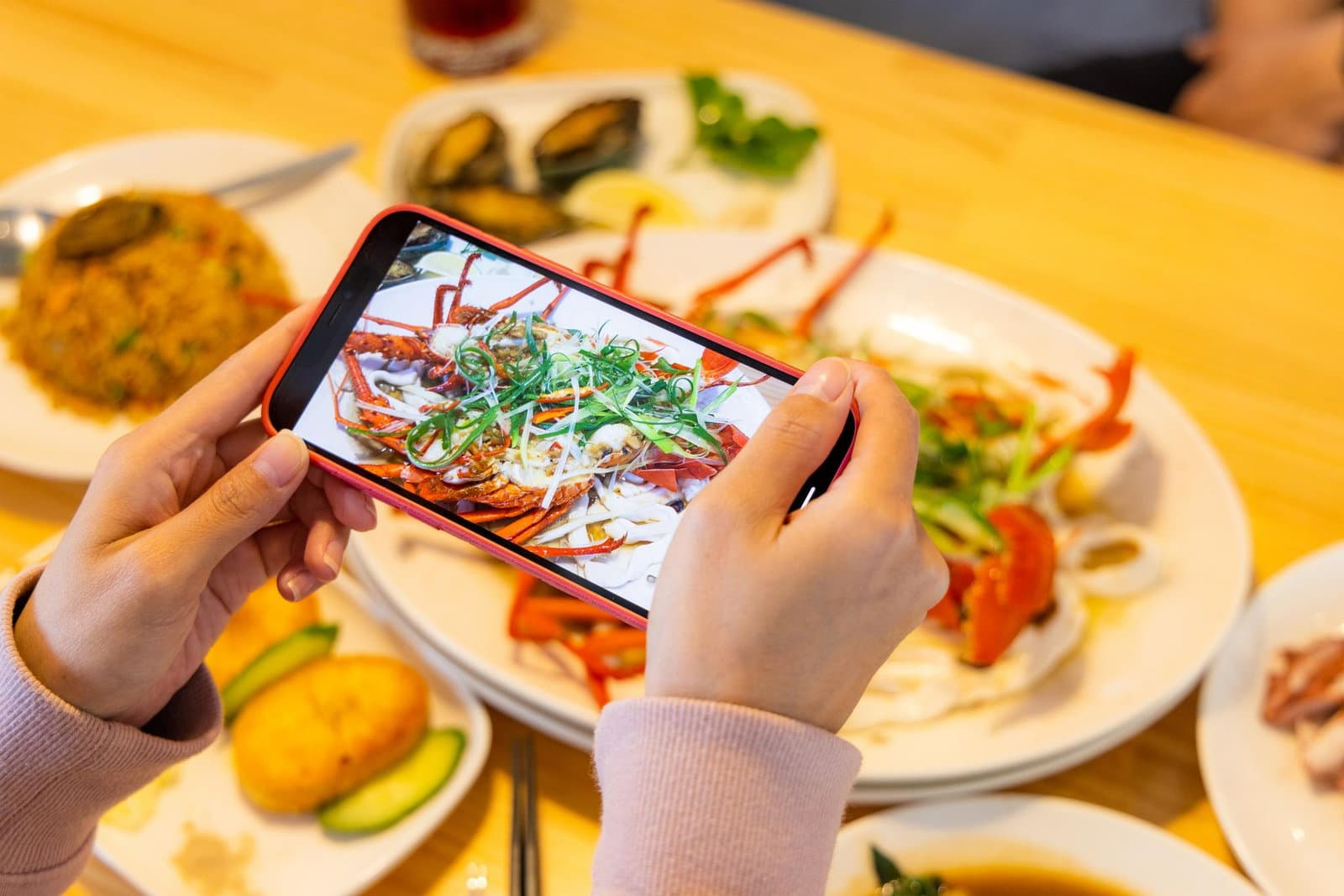 Food blogger using Chefadora to earn money.
