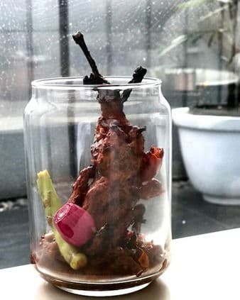 Martabaan Wali Bateyr ( Pot Roasted Quails) recipe