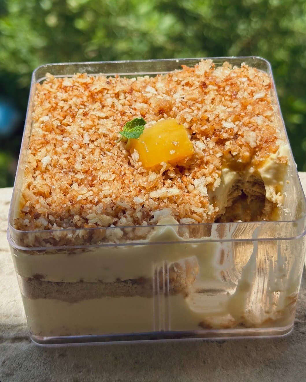 Philippines-Inspired Mango Float (No-Bake Mango Pudding) recipe