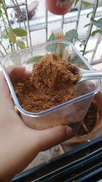 Healthy Flaxseed Chutney for Winters  recipe