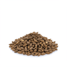 Ajwain