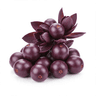 Alkanet Root / Ratanjot [optional]