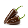 ancho chiles