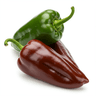 Large ancho chili