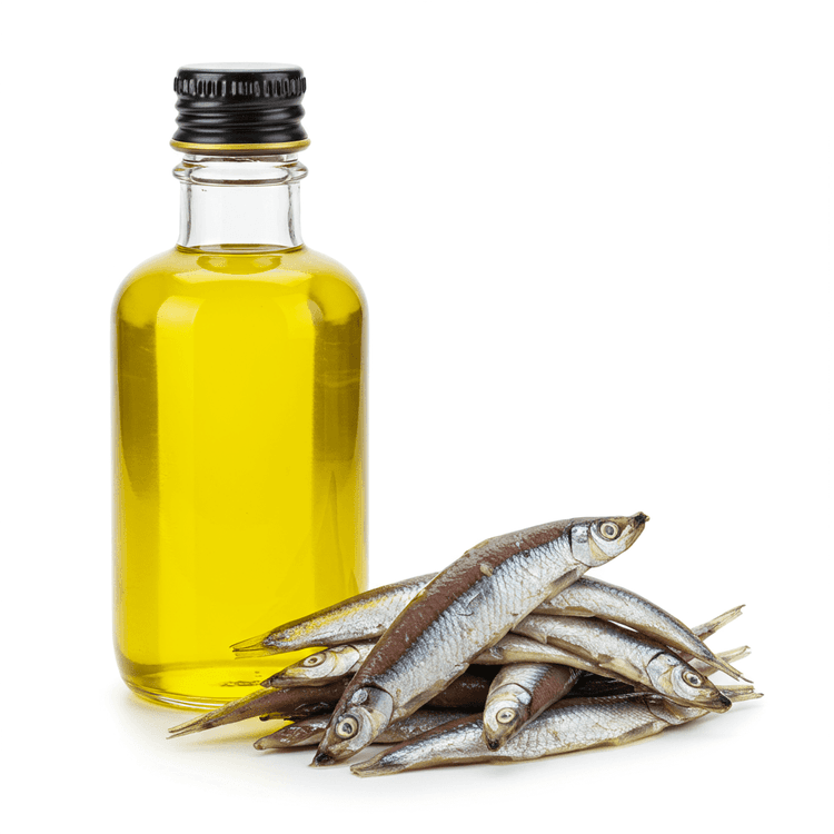 Anchovy Oil