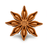 Aniseed