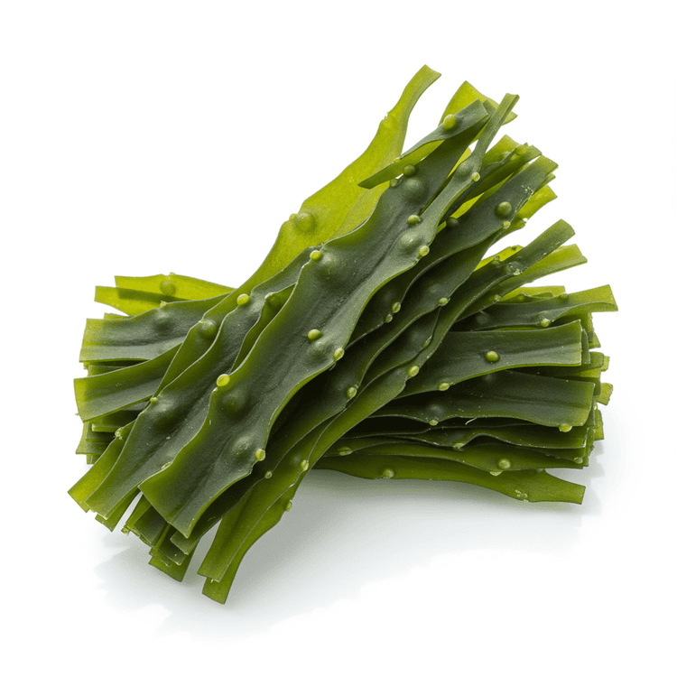 arame seaweed