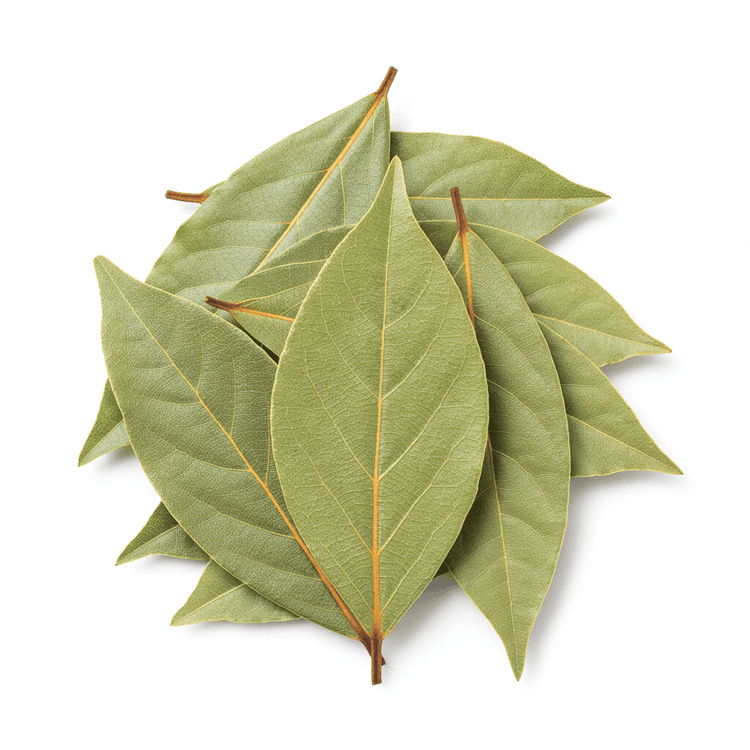 bay leaf