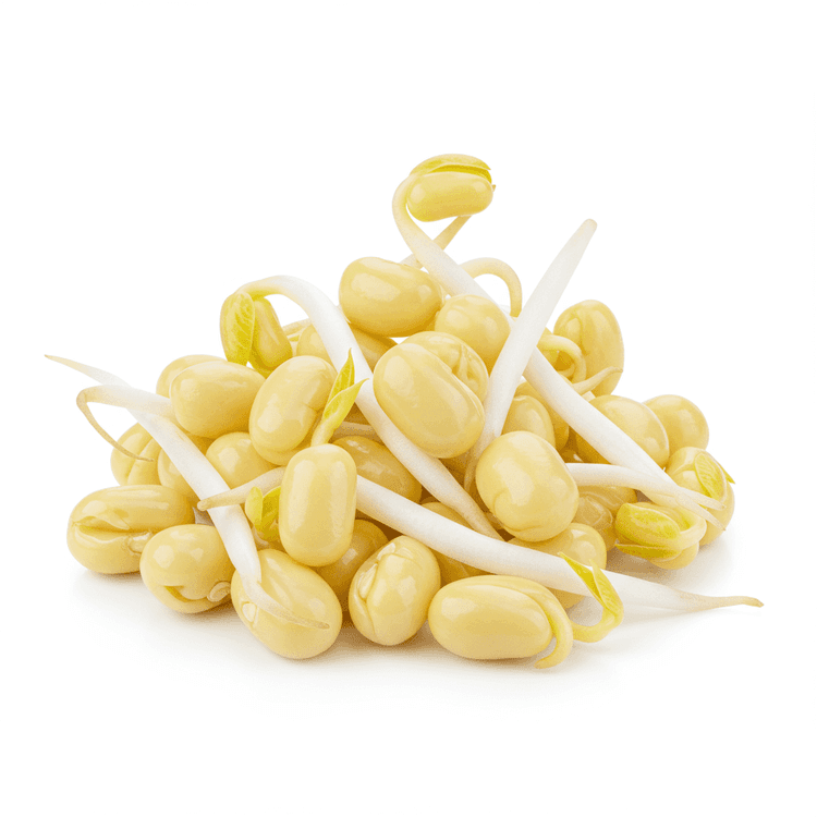 Bean Sprout