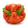 bell pepper