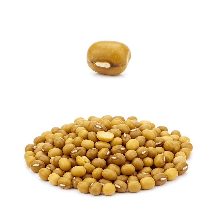 bengal gram dal