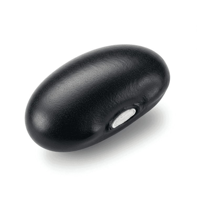 black bean